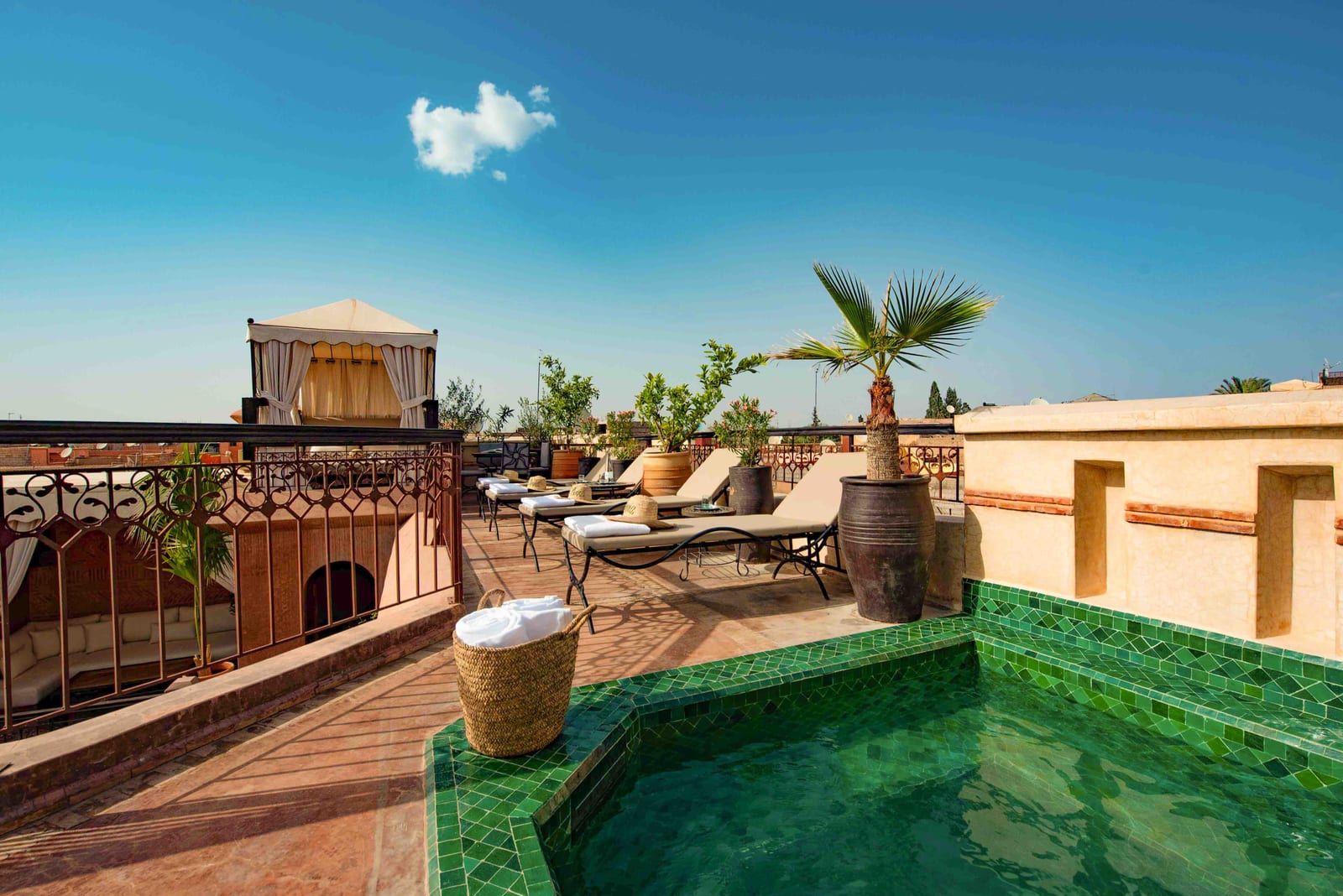 Petit bassin de zellige vert sur la terrasse d'un riad de Marrakech, entouré de palmiers en pot et de transats sous une lumière chaude.